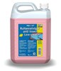 Ruitenreiniger Anti-Insect Kant & Klaar